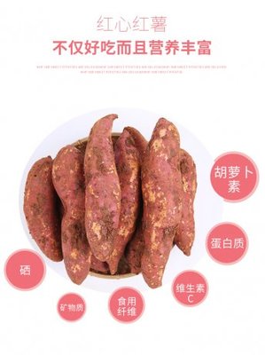 紅土蜜薯現(xiàn)挖鮮發(fā) 云南紅土地紅薯大果中果批發(fā)全解析